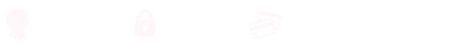 SEGURANÇA