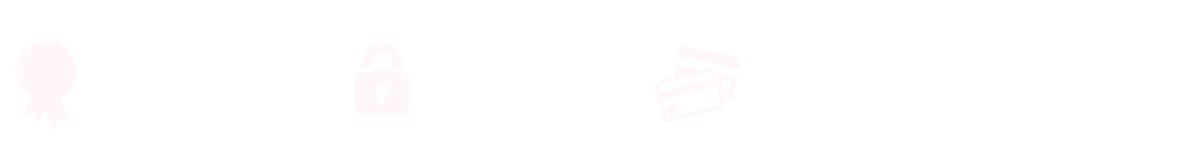 SEGURANÇA
